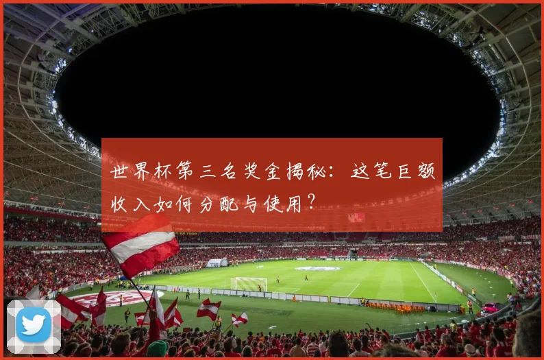 世界杯第三名奖金揭秘：这笔巨额收入如何分配与使用？