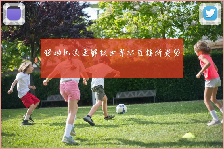 移动机顶盒解锁世界杯直播新姿势
